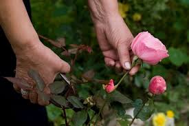 PENSEZ AU VACCIN ANTITÉTANIQUE PENSEZ AU VACCIN ANTITÉTANIQUE