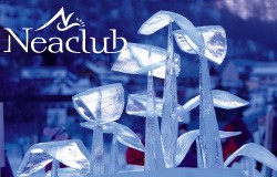 LES ÉDUCTOURS NEACLUB LES ÉDUCTOURS NEACLUB