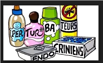 LES PERTURBATEURS ENDOCRINIENS LES PERTURBATEURS ENDOCRINIENS