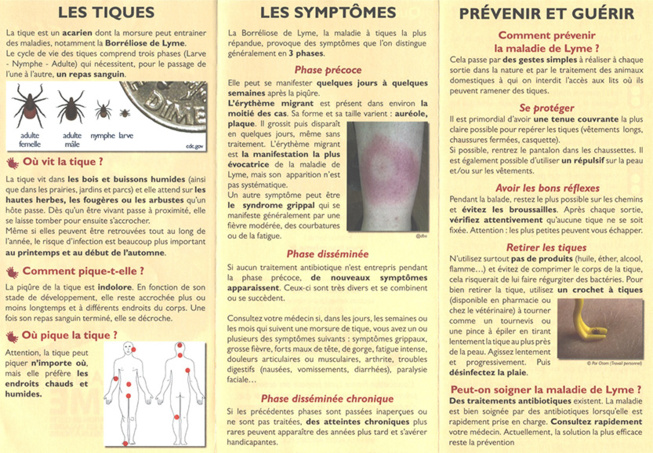 TIQUES : ADOPTEZ LES BONS GESTES TIQUES : ADOPTEZ LES BONS GESTES