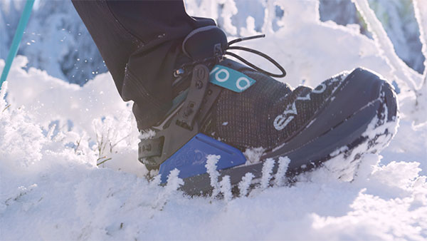 EVVO SNOWSHOES