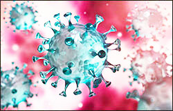 Le coronavirus : un point deux mois après son apparition en Chine Le coronavirus : un point deux mois après son apparition en Chine