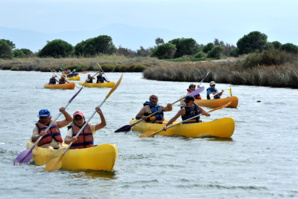 Activités proposées Activités proposées