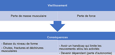 LE TRAVAIL MUSCULAIRE EN RÉSISTANCE (TMR)