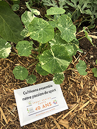 Pays de  la Loire : un anniversaire durable Pays de  la Loire : un anniversaire durable