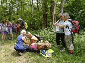 Suite entretien avec les pompiers pour chemin d’accès Suite entretien avec les pompiers pour chemin d’accès