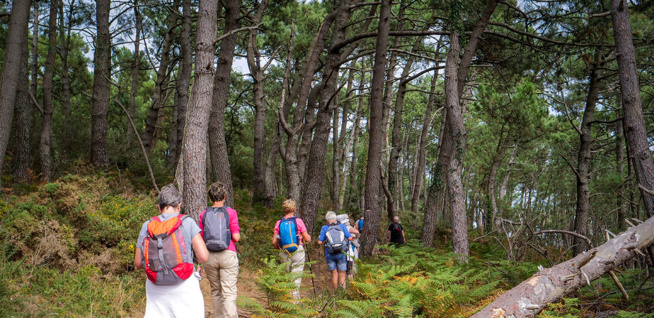 ÉTUDE : LES BIENFAITS DE LA MARCHE POUR LE CERVEAU ÉTUDE : LES BIENFAITS DE LA MARCHE POUR LE CERVEAU