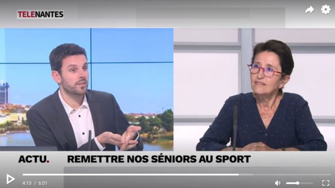 VU À LA TÉLÉ... DEPUIS NANTES VU À LA TÉLÉ... DEPUIS NANTES