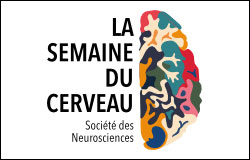 LA SEMAINE DU CERVEAU LA SEMAINE DU CERVEAU