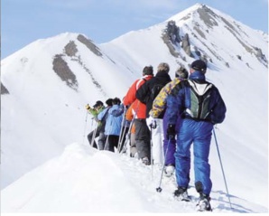 Newsletter 22 - Décembre 2015 Newsletter 22 - Décembre 2015