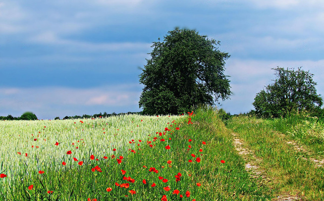 NOUVEAU À LA FÉDÉ : LA MISSION SPORT DURABLE NOUVEAU À LA FÉDÉ : LA MISSION SPORT DURABLE