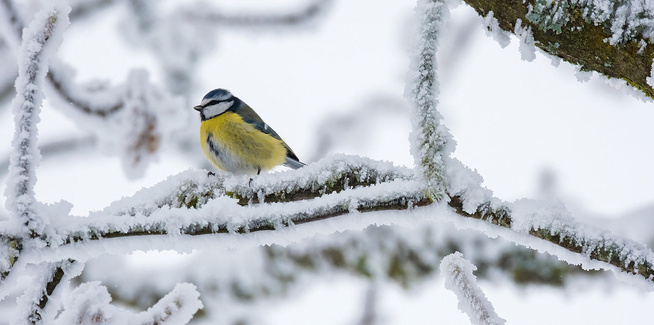 AGLAGLA ! QUELQUES SAGES PRÉCAUTIONS AGLAGLA ! QUELQUES SAGES PRÉCAUTIONS