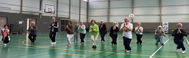 BFC : FORMATION CONTINUE QI GONG BFC : FORMATION CONTINUE QI GONG