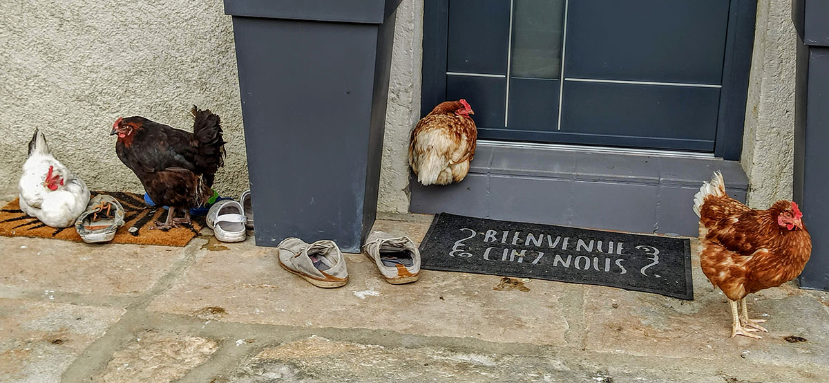 LES DÉFIS DE L’ÉTÉ LES DÉFIS DE L’ÉTÉ