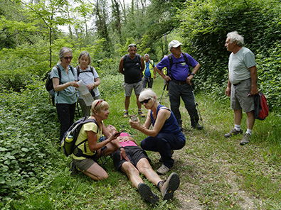 Concertation sur le lieu de l’accident Concertation sur le lieu de l’accident