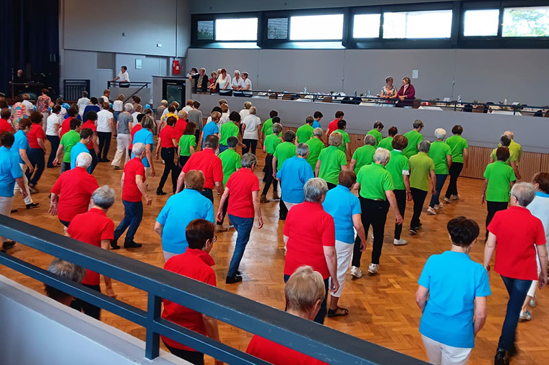 AIN : JOURNÉE DÉPARTEMENTALE DE LA DANSE