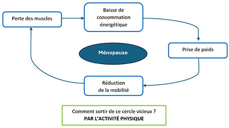 LA MÉNOPAUSE : FAIRE FACE À SES CONSÉQUENCES