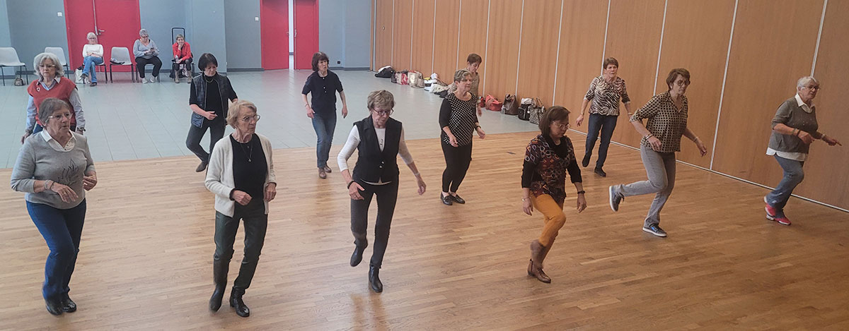 JOURNÉE DES ANIMATRICES DANSE DE L’AIN