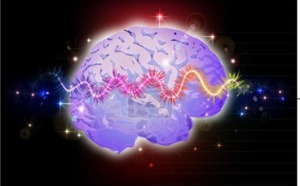 L'AIT, UNE OCCASION EN OR DE PRÉVENIR L'AVC L'AIT, UNE OCCASION EN OR DE PRÉVENIR L'AVC