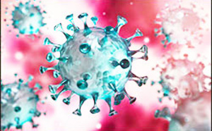 Le coronavirus : un point deux mois après son apparition en Chine