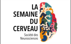 LA SEMAINE DU CERVEAU LA SEMAINE DU CERVEAU