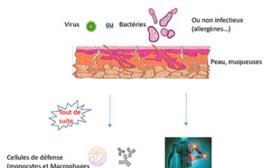 L’IMMUNITÉ : TOUT UN SYSTÈME !