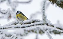 AGLAGLA ! QUELQUES SAGES PRÉCAUTIONS